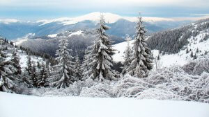 winter-carpathian